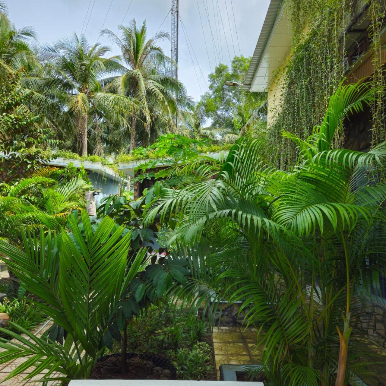 Homestay Bao Binh Ben Tre Exterior foto